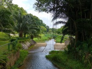 Bishan-Ang Mo Kio Park