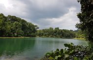 Central Catchment Nature Reserve