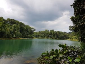 Central Catchment Nature Reserve